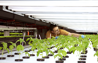 Study Objective of Hydroponics Market 